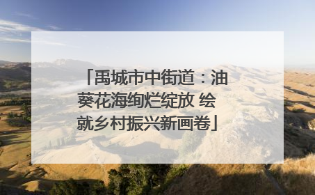 禹城市中街道：油葵花海绚烂绽放 绘就乡村振兴新画卷
