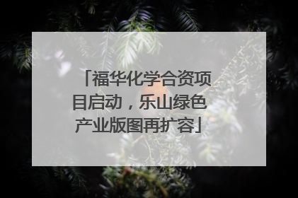 福华化学合资项目启动，乐山绿色产业版图再扩容