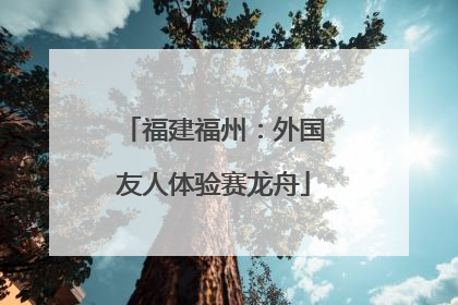 福建福州：外国友人体验赛龙舟