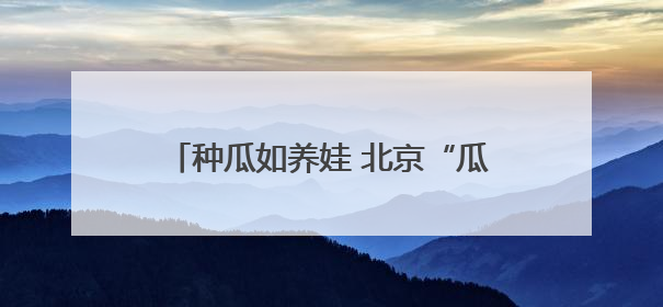 种瓜如养娃 北京“瓜王”藏着“技术密码”