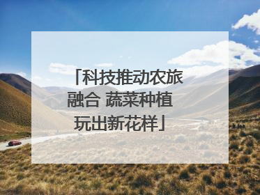 科技推动农旅融合 蔬菜种植玩出新花样