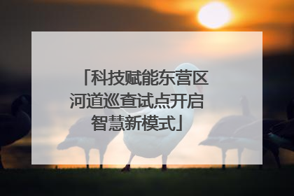 科技赋能东营区河道巡查试点开启智慧新模式