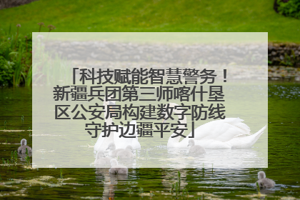 科技赋能智慧警务！新疆兵团第三师喀什垦区公安局构建数字防线守护边疆平安