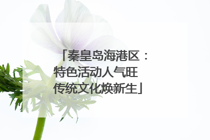 秦皇岛海港区：特色活动人气旺 传统文化焕新生
