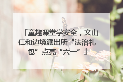 童趣课堂学安全，文山仁和边境派出所“法治礼包”点亮“六一”
