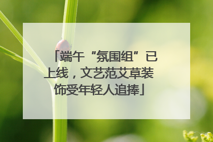 端午“氛围组”已上线，文艺范艾草装饰受年轻人追捧