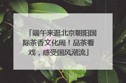端午来逛北京朝阳国际茶香文化周！品茶看戏，感受国风潮流