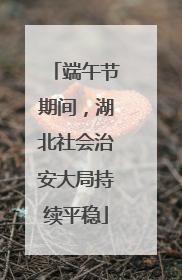端午节期间，湖北社会治安大局持续平稳