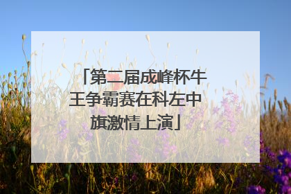 第二届成峰杯牛王争霸赛在科左中旗激情上演