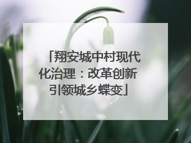 翔安城中村现代化治理：改革创新引领城乡蝶变