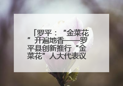 罗平：“金菜花”开遍地香——罗平县创新推行“金菜花”人大代表议事会履职行动