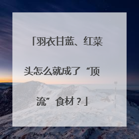 羽衣甘蓝、红菜头怎么就成了“顶流”食材？
