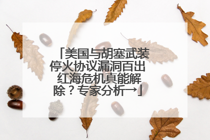 美国与胡塞武装停火协议漏洞百出 红海危机真能解除？专家分析→