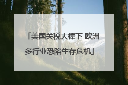 美国关税大棒下 欧洲多行业恐陷生存危机