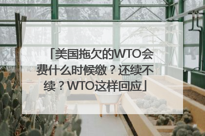 美国拖欠的WTO会费什么时候缴？还续不续？WTO这样回应