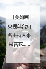 美如画！央视总台知名主持人来泉簪花……