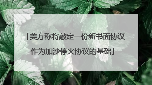 美方称将敲定一份新书面协议 作为加沙停火协议的基础