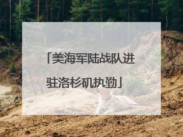 美海军陆战队进驻洛杉矶执勤