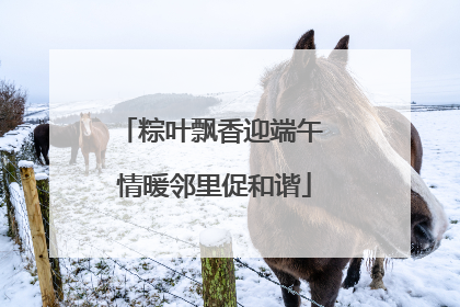粽叶飘香迎端午 情暖邻里促和谐