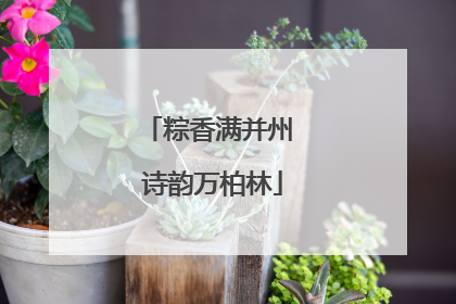 粽香满并州 诗韵万柏林