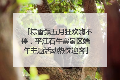 粽香飘五月狂欢嗨不停，平江石牛寨景区端午主题活动热忱迎客