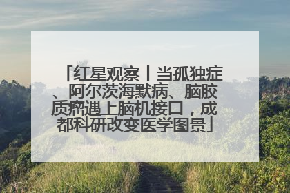 红星观察丨当孤独症、阿尔茨海默病、脑胶质瘤遇上脑机接口，成都科研改变医学图景