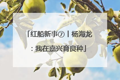 红船新事⑦丨杨海龙：我在嘉兴育良种