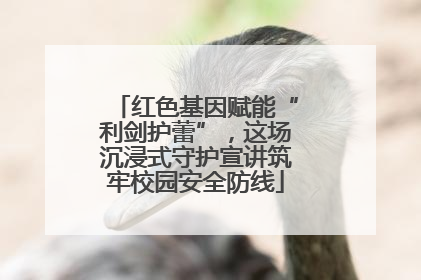 红色基因赋能“利剑护蕾”，这场沉浸式守护宣讲筑牢校园安全防线