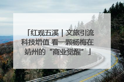 红观五溪｜文旅引流 科技增值 看一颗杨梅在靖州的“商业觉醒”