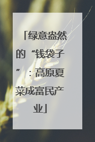 绿意盎然的“钱袋子”：高原夏菜成富民产业