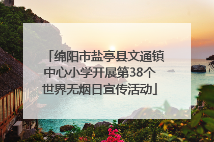 绵阳市盐亭县文通镇中心小学开展第38个世界无烟日宣传活动