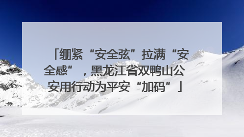 绷紧“安全弦”拉满“安全感”，黑龙江省双鸭山公安用行动为平安“加码”
