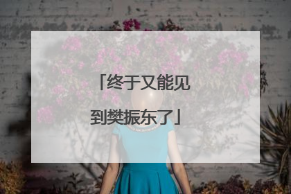 终于又能见到樊振东了