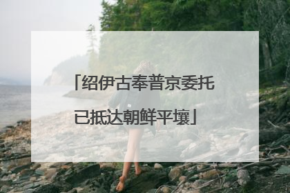 绍伊古奉普京委托已抵达朝鲜平壤