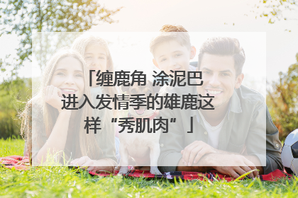 缠鹿角 涂泥巴 进入发情季的雄鹿这样“秀肌肉”