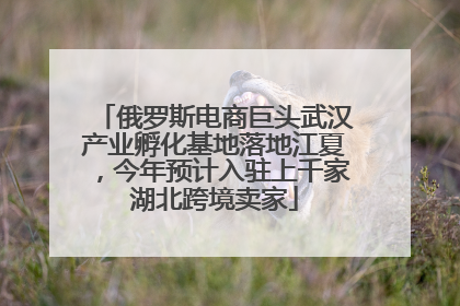 俄罗斯电商巨头武汉产业孵化基地落地江夏，今年预计入驻上千家湖北跨境卖家