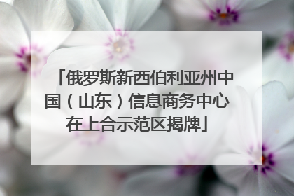 俄罗斯新西伯利亚州中国（山东）信息商务中心在上合示范区揭牌