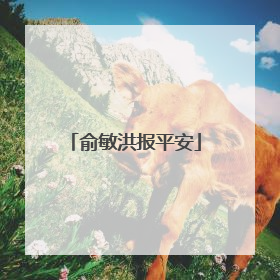 俞敏洪报平安