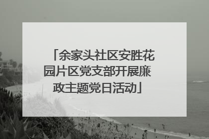 余家头社区安胜花园片区党支部开展廉政主题党日活动