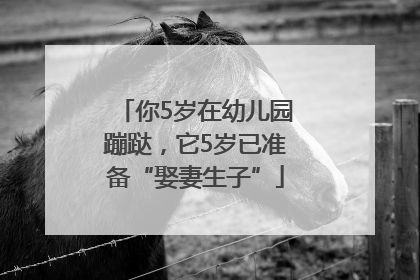 你5岁在幼儿园蹦跶，它5岁已准备“娶妻生子”