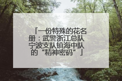 一份特殊的花名册：武警浙江总队宁波支队镇海中队的“精神密码”