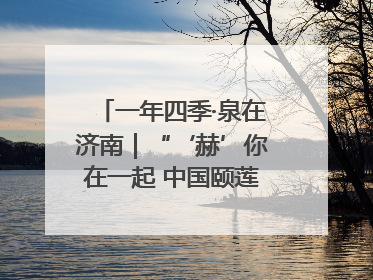 一年四季·泉在济南｜“‘赫’你在一起 中国颐莲喷雾节”盛大开启 共赴水润之约