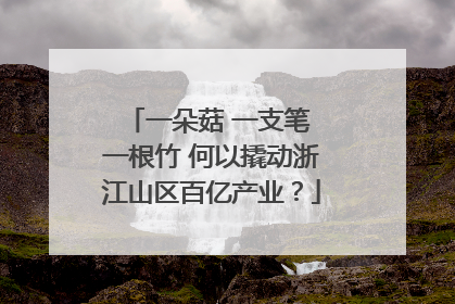 一朵菇 一支笔 一根竹 何以撬动浙江山区百亿产业？