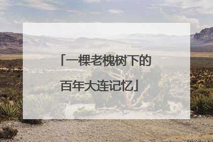 一棵老槐树下的百年大连记忆