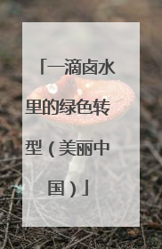 一滴卤水里的绿色转型（美丽中国）