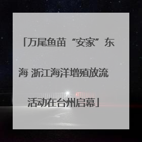 万尾鱼苗“安家”东海 浙江海洋增殖放流活动在台州启幕