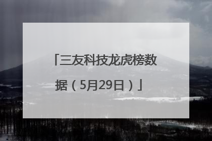 三友科技龙虎榜数据（5月29日）
