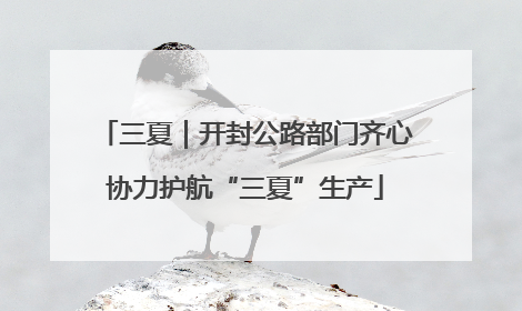 三夏｜开封公路部门齐心协力护航“三夏”生产