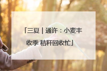 三夏｜通许：小麦丰收季 秸秆回收忙