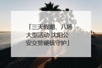 三天假期、八场大型活动 沈阳公安交警硬核守护